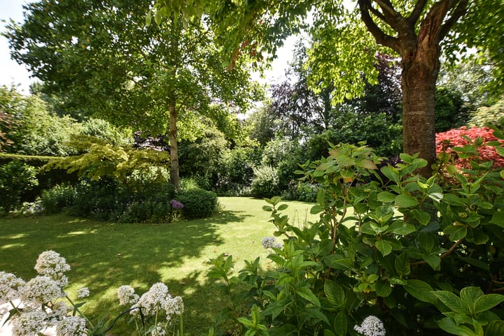 Photo 37 of Hollandse Hout 132