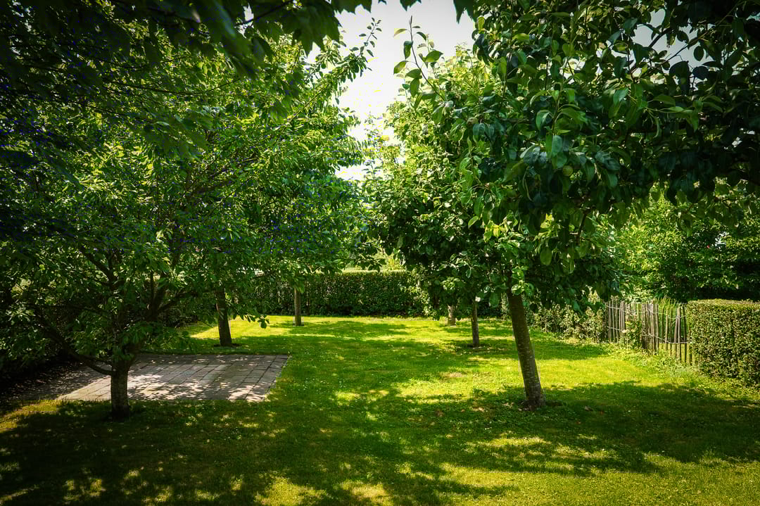 Foto 61 van Delwijnsekade 12