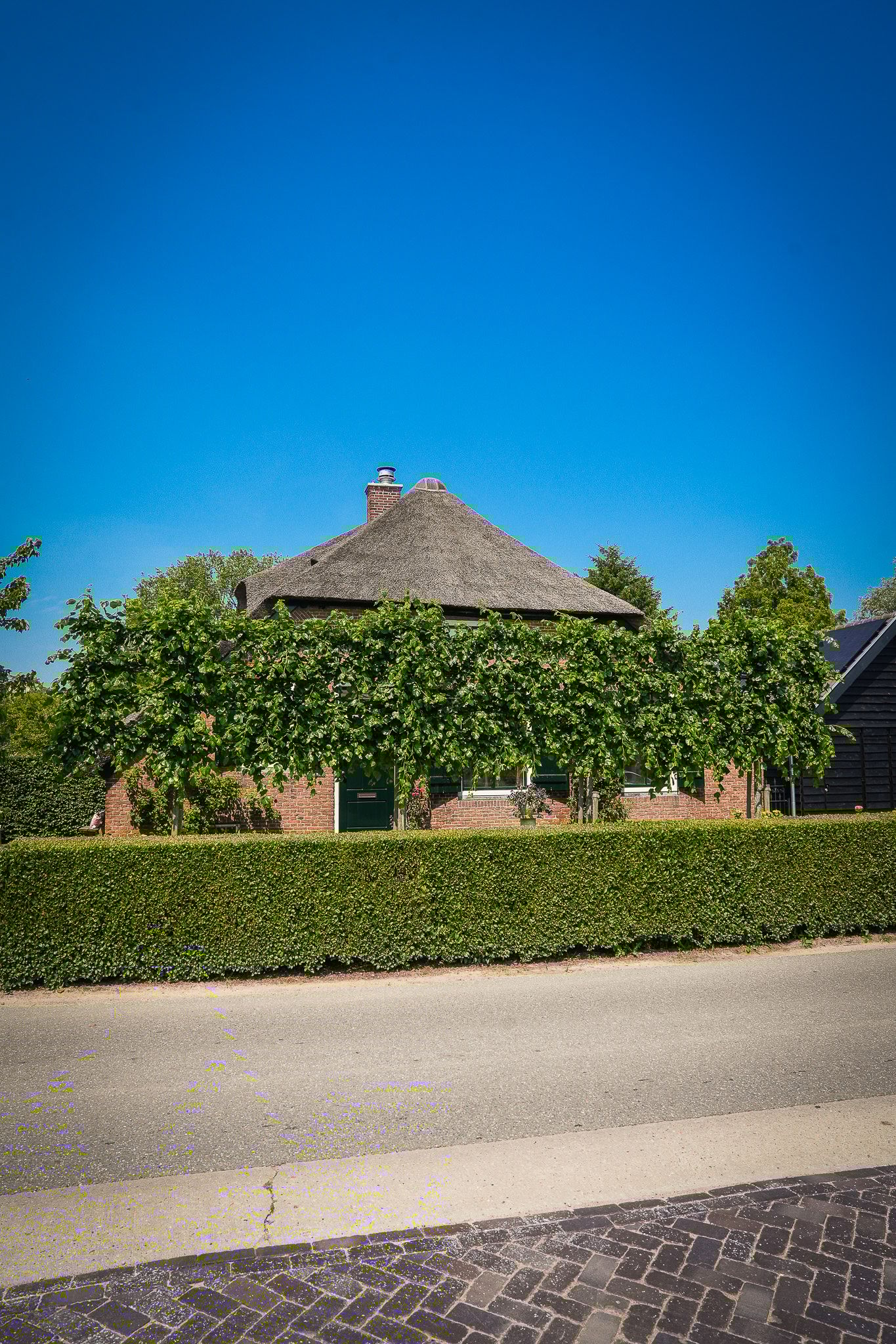 Foto 74 van Delwijnsekade 12