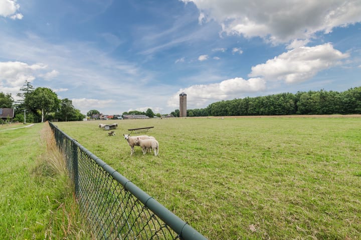 Foto 39 van Sint Jansweg 12