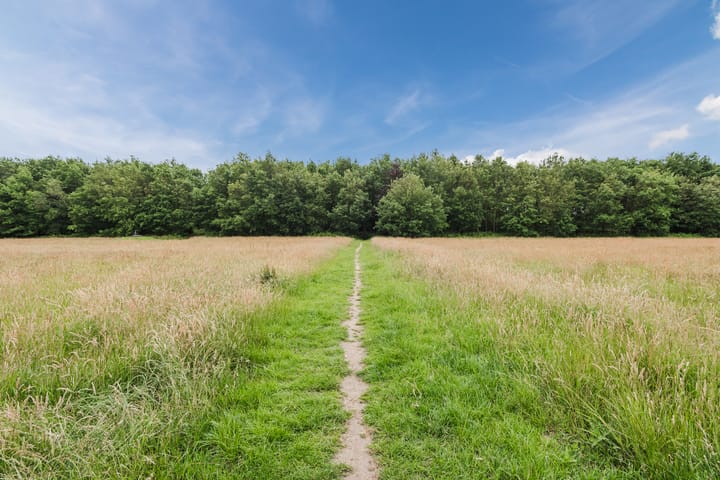 Foto 40 van Sint Jansweg 12