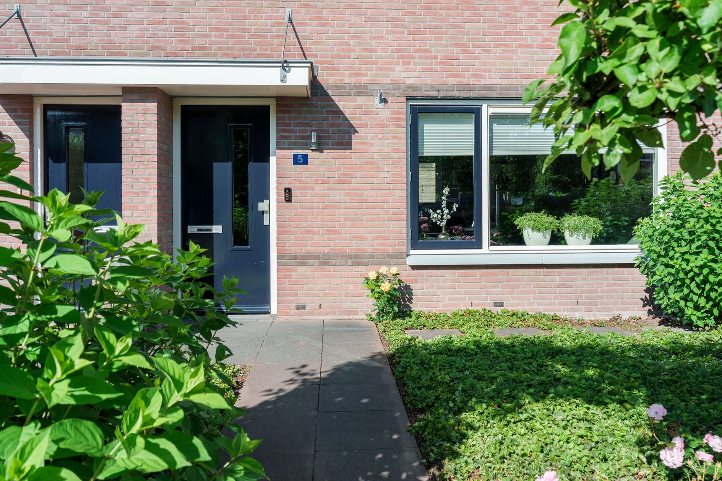 Foto 29 van Zenegroen 5