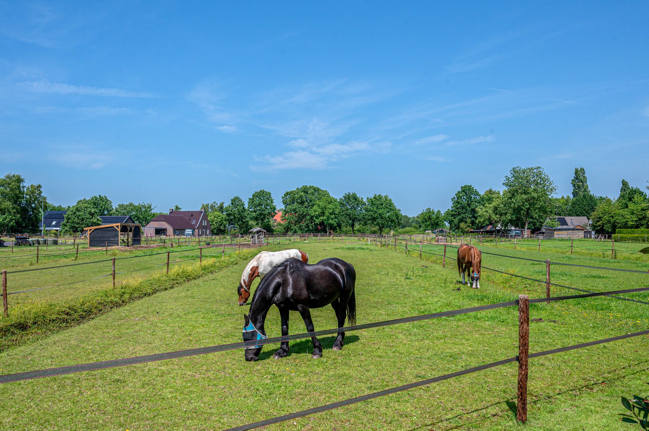 Foto 93 van Hoethslaan 32-B