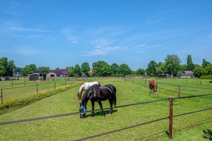 Photo 93 of Hoethslaan 32-B