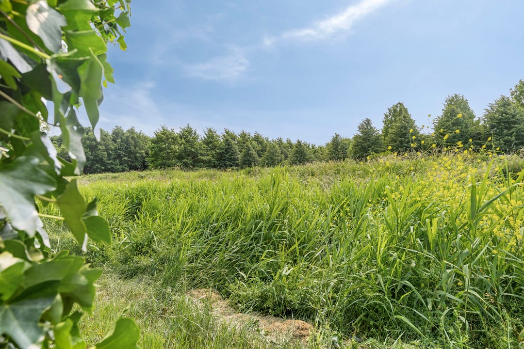 Foto 32 van Nieuweweg 14