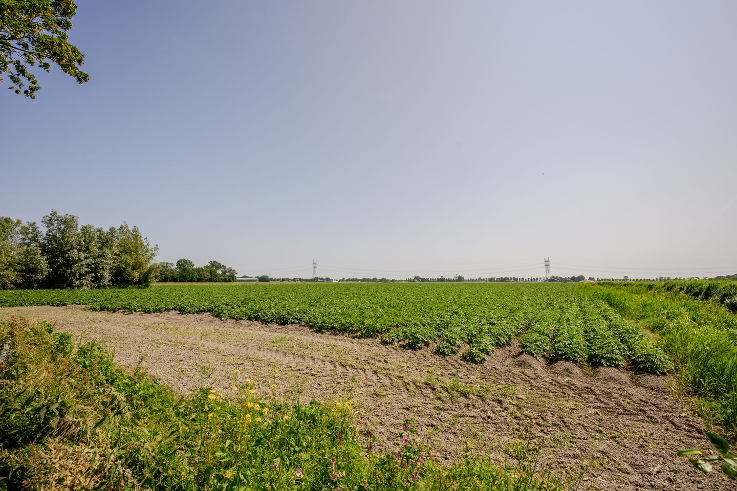 Foto 4 van Wormerweg 22-A