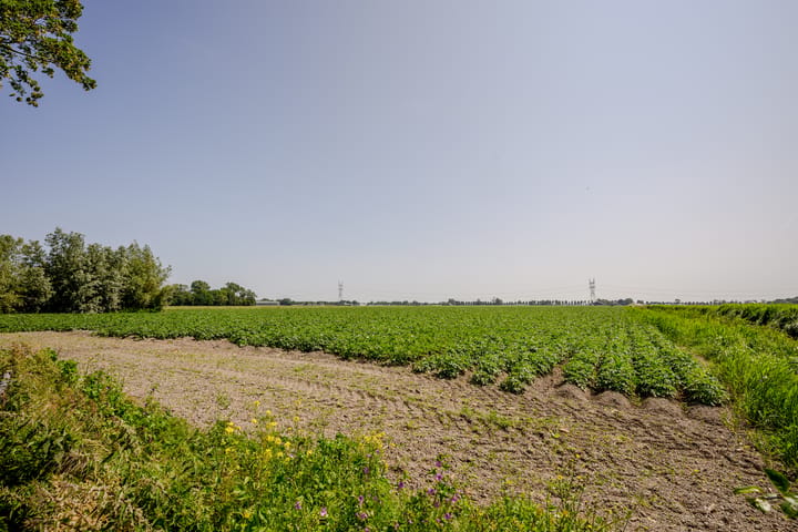 Foto 4 van Wormerweg 22-A
