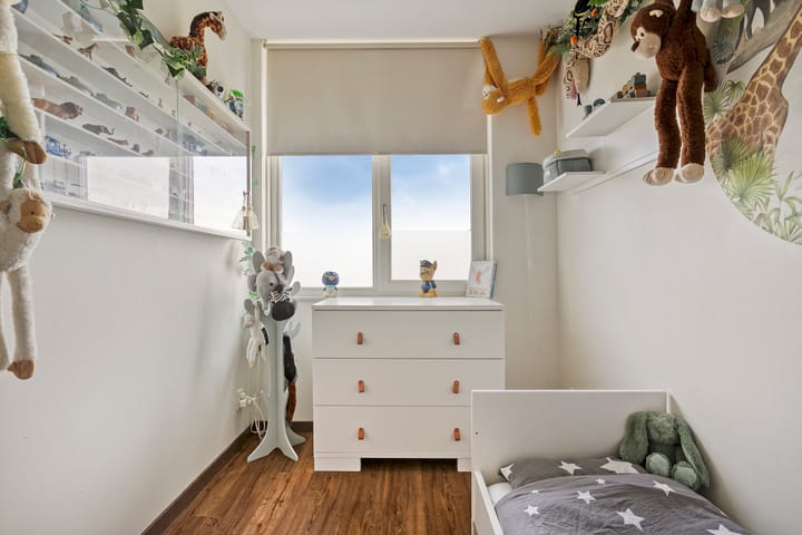 Photo 33 of Dutry van Haeftenstraat 15