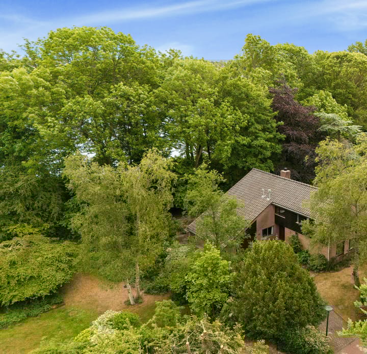 Foto 49 van Groot Barlaken 60