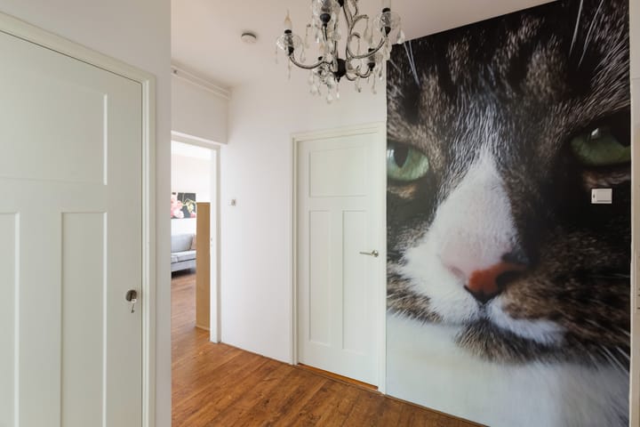 Foto 2 van Zwanenvechtlaan 144