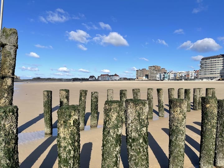 Photo 31 of Boulevard Evertsen 258