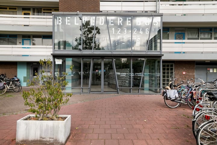 Foto 2 van Belvédèrebos 230