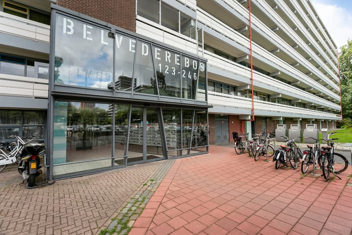 Foto 27 van Belvédèrebos 230