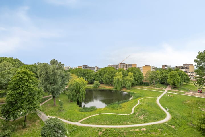 Foto 31 van Belvédèrebos 230