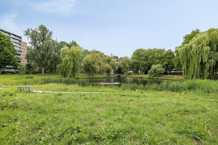 Foto 32 van Belvédèrebos 230