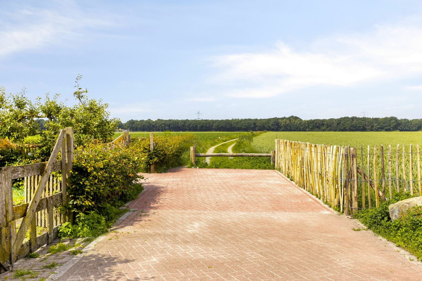 Foto 34 van Pastoor Vercoulenstraat 2