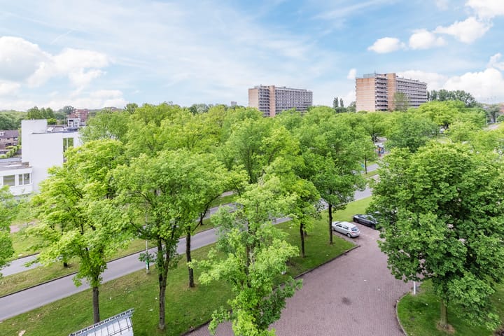 Foto 28 van Spaansgroenstraat 50