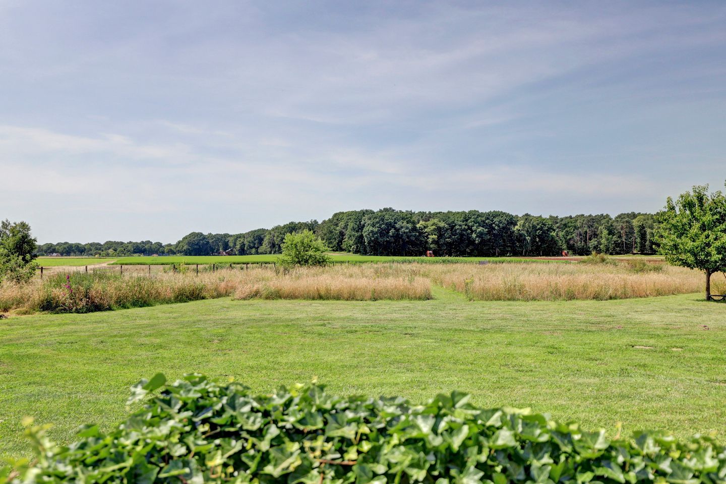 Photo 89 of Reutjesweg 60