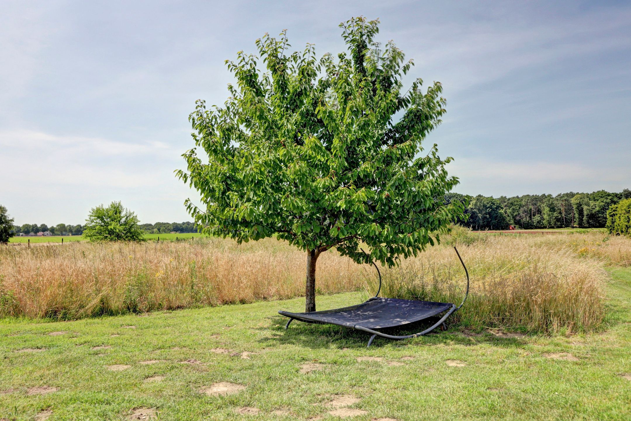 Photo 90 of Reutjesweg 60