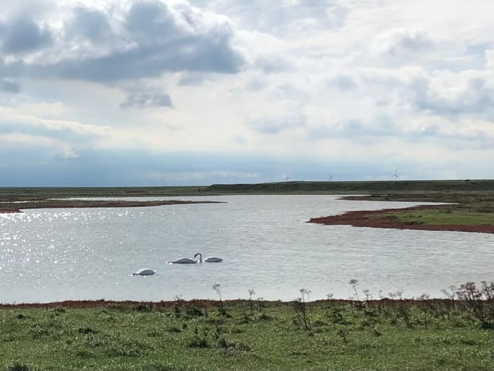 Foto 36 van Wulkenpad 27