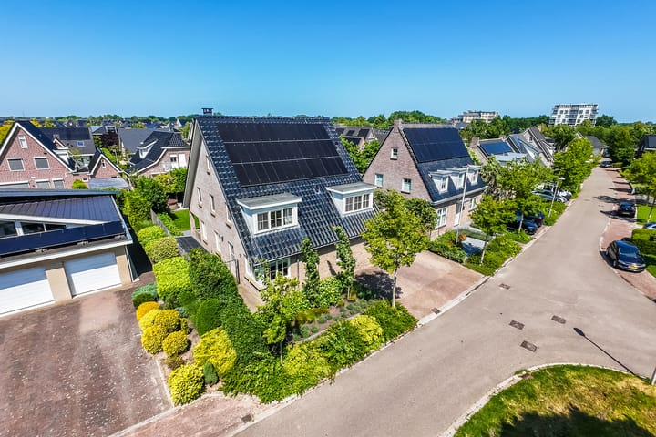 Foto 4 van Eekhoorn 14