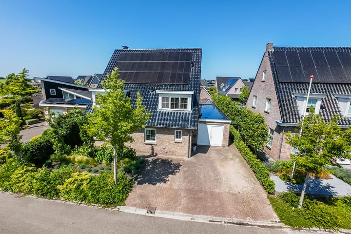 Foto 6 van Eekhoorn 14