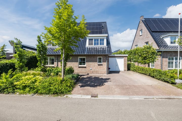 Foto 7 van Eekhoorn 14