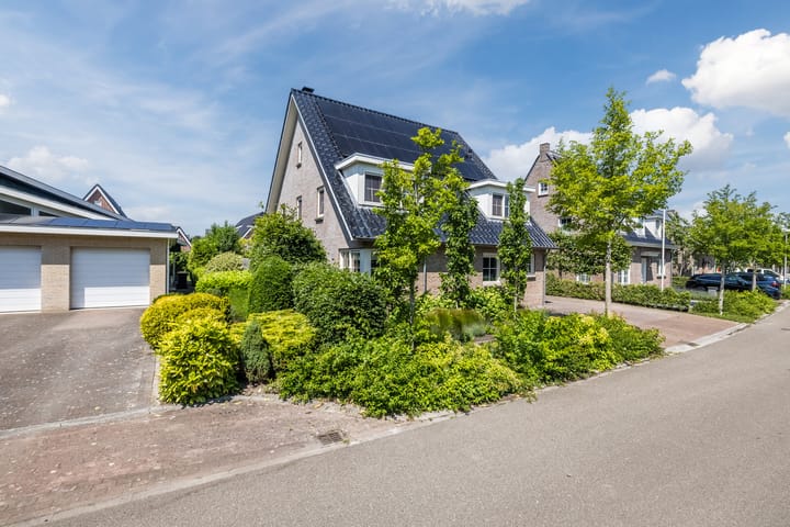 Foto 8 van Eekhoorn 14