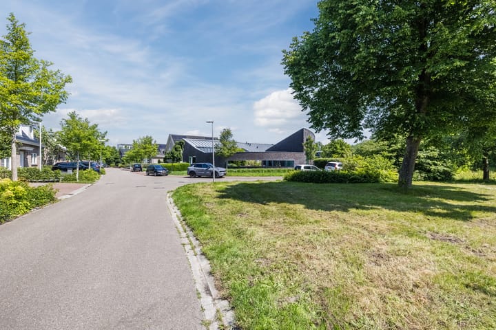 Foto 10 van Eekhoorn 14