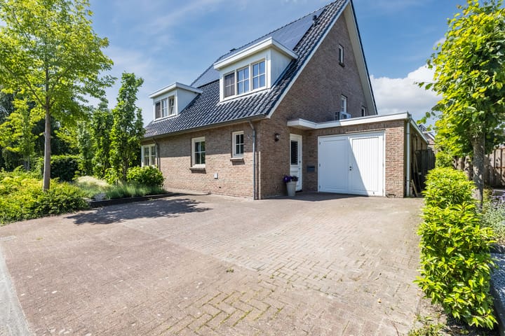 Foto 11 van Eekhoorn 14