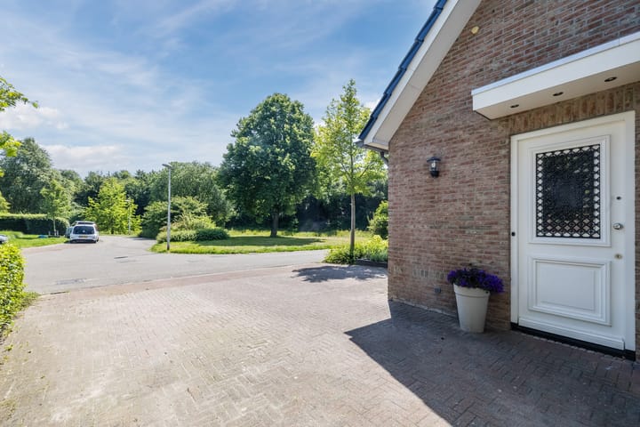 Foto 12 van Eekhoorn 14