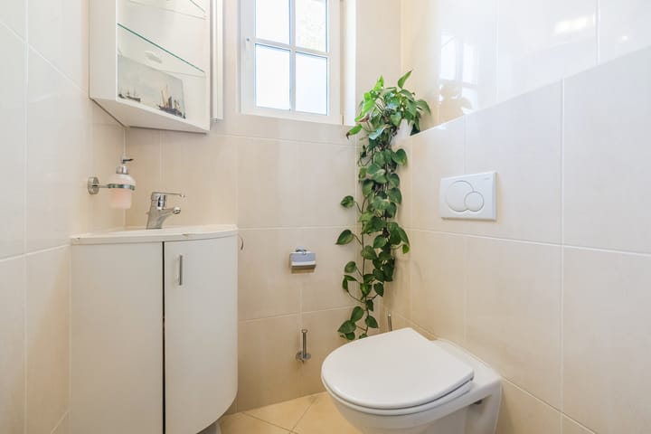 Foto 15 van Eekhoorn 14