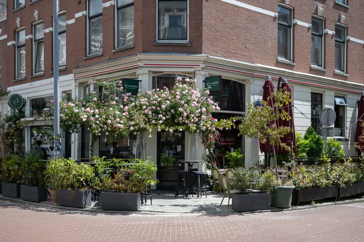 Foto 45 van Provenierssingel 11