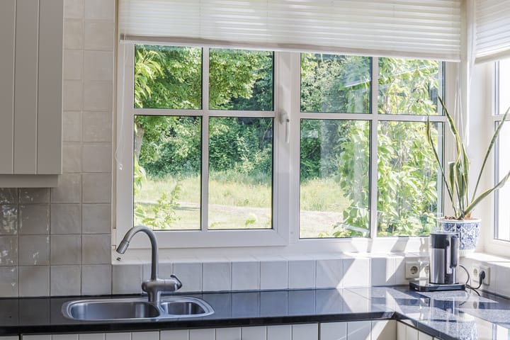 Foto 35 van Eekhoorn 14