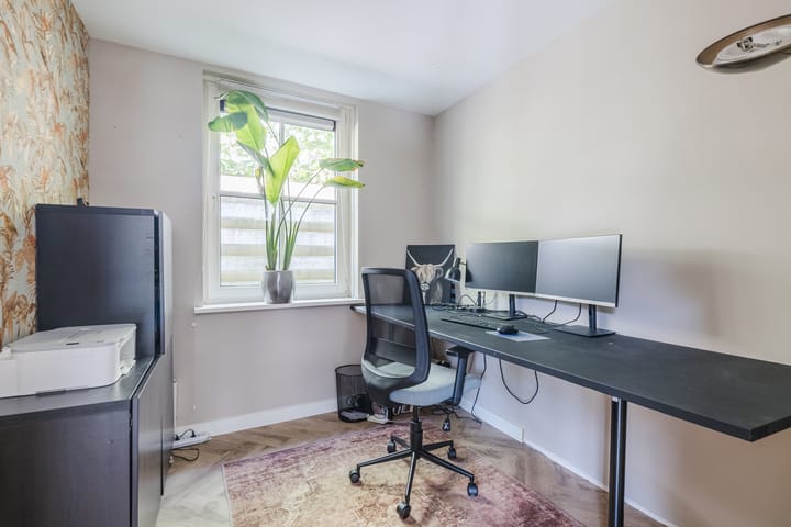 Foto 38 van Eekhoorn 14