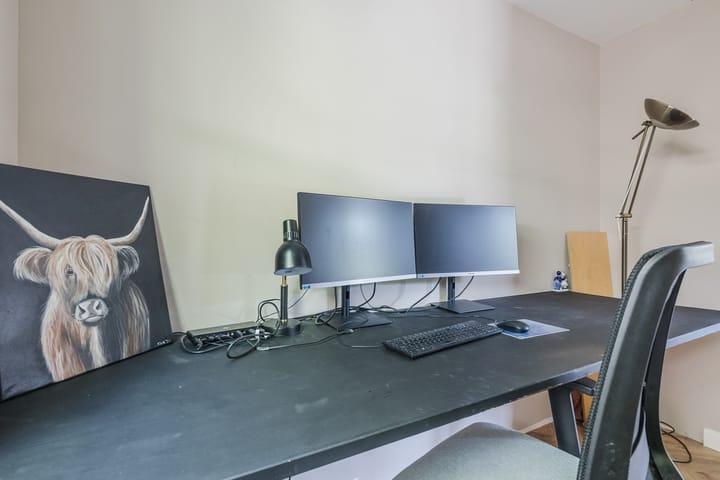 Foto 39 van Eekhoorn 14