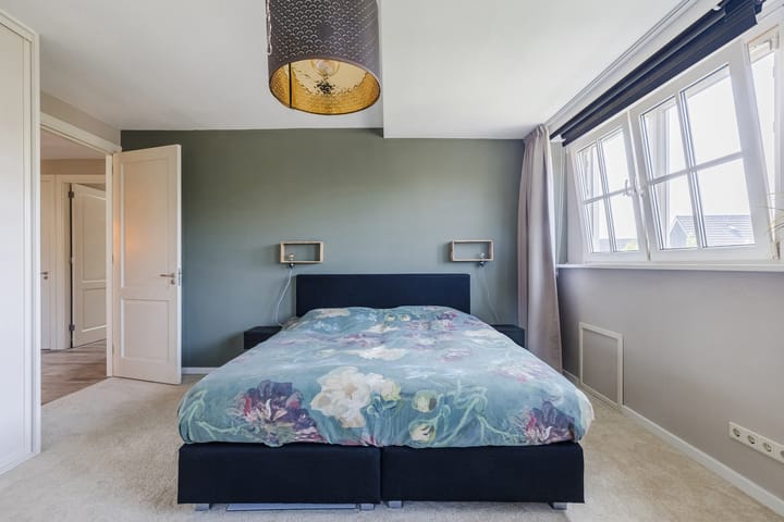 Foto 51 van Eekhoorn 14