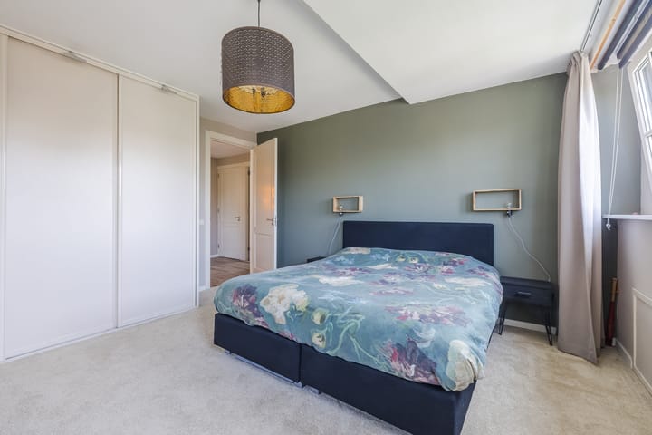 Foto 52 van Eekhoorn 14