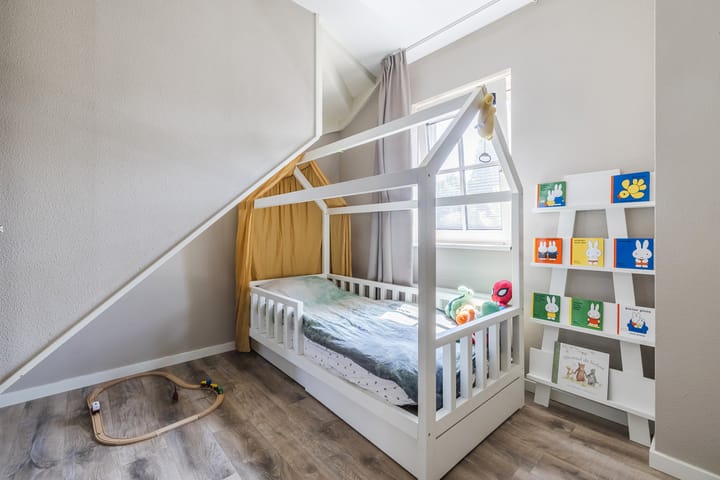 Foto 62 van Eekhoorn 14