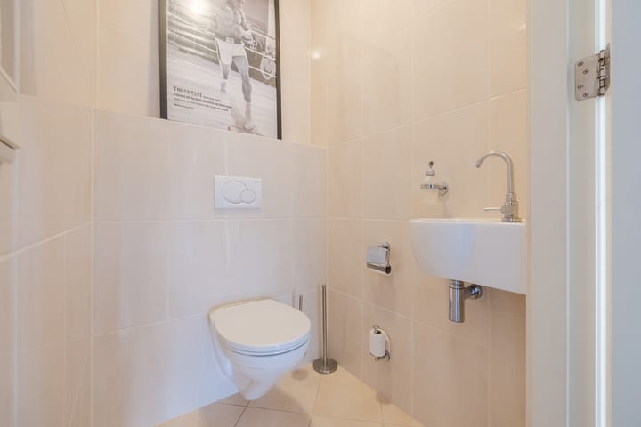 Foto 70 van Eekhoorn 14