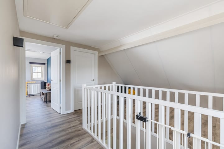 Foto 71 van Eekhoorn 14