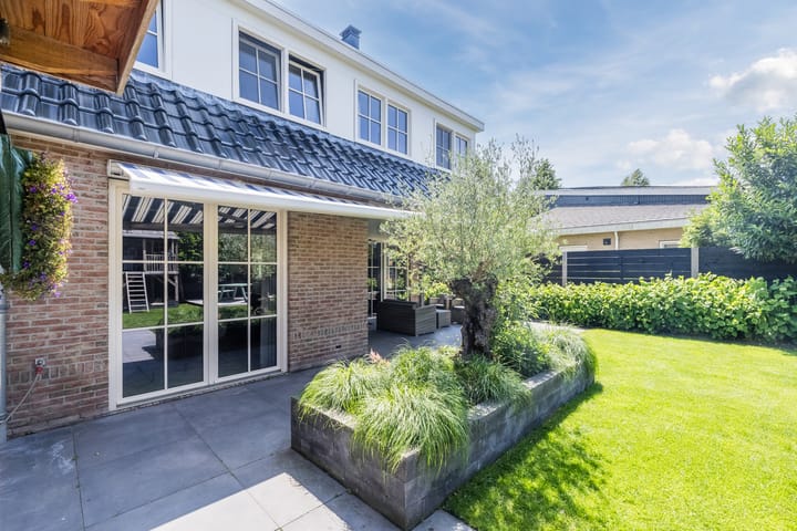 Foto 84 van Eekhoorn 14