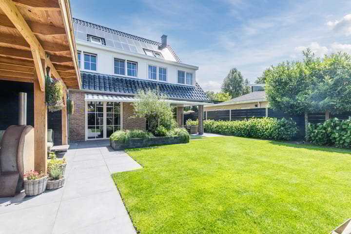 Foto 88 van Eekhoorn 14