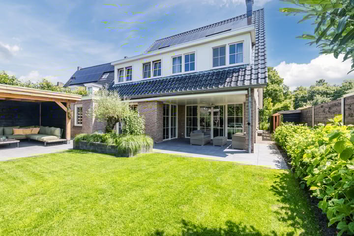 Foto 102 van Eekhoorn 14