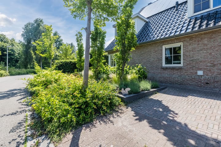 Foto 109 van Eekhoorn 14