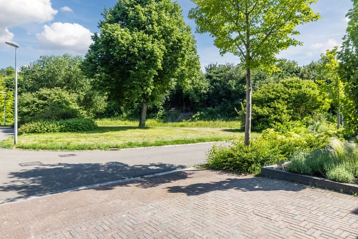 Foto 110 van Eekhoorn 14