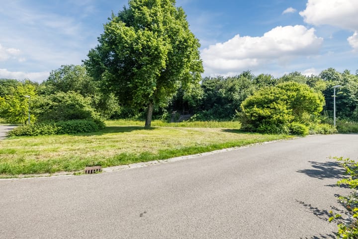 Foto 111 van Eekhoorn 14