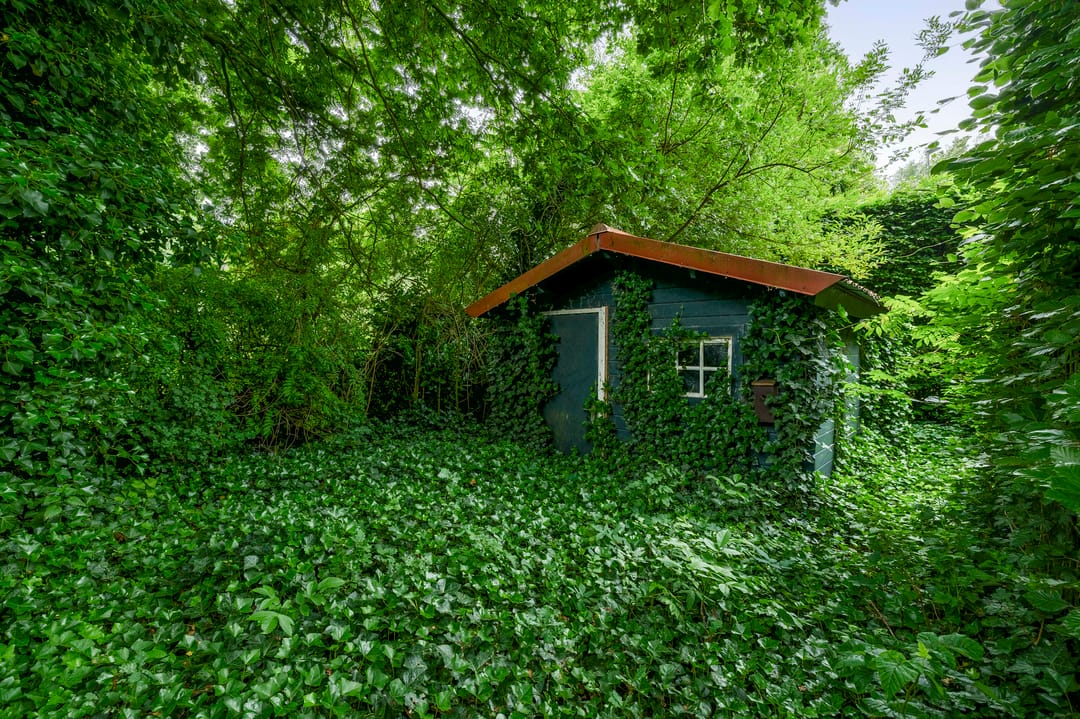 Foto 38 van Fokkershoek 29