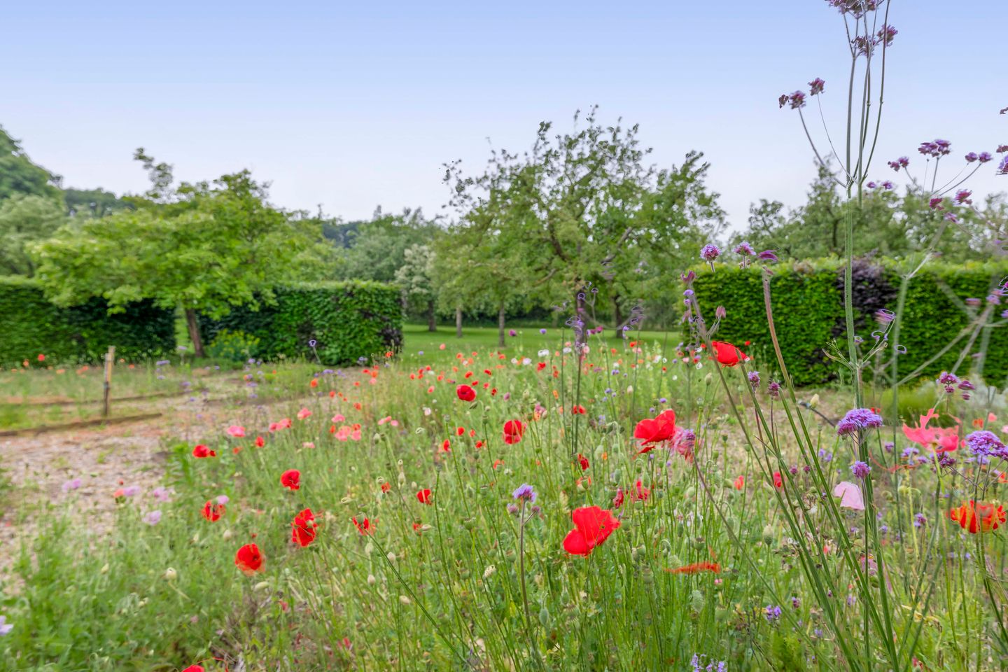 Foto 44 van Fokkershoek 29