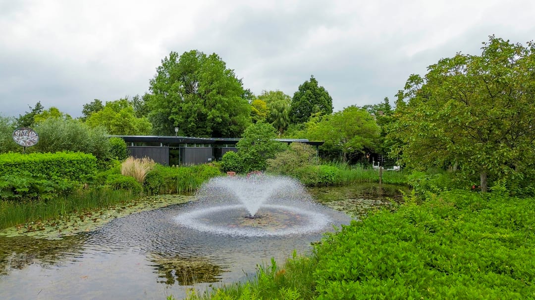 Foto 47 van Fokkershoek 29